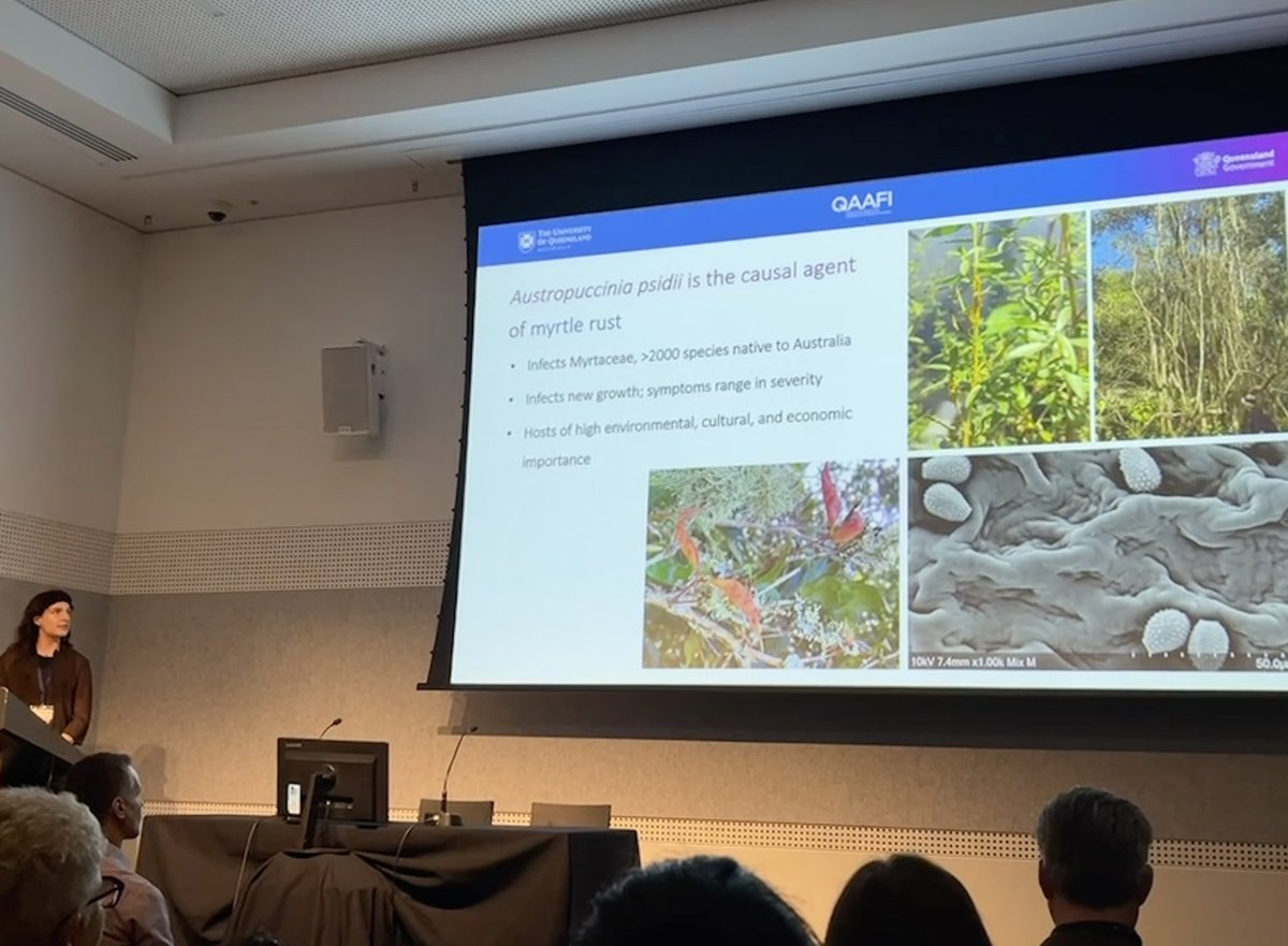 bec_degnan's tweet photo. It was a joy to present our (recently submitted 🤞) research on Exogenous RNAi-mediated inhibition of Austropuccinia psidii infection physiology at ComBio 2022 in Melbourne! 🌿 #combio22 @asps_ozplants #myrtlerust https://t.co/qaFsEnPNl8