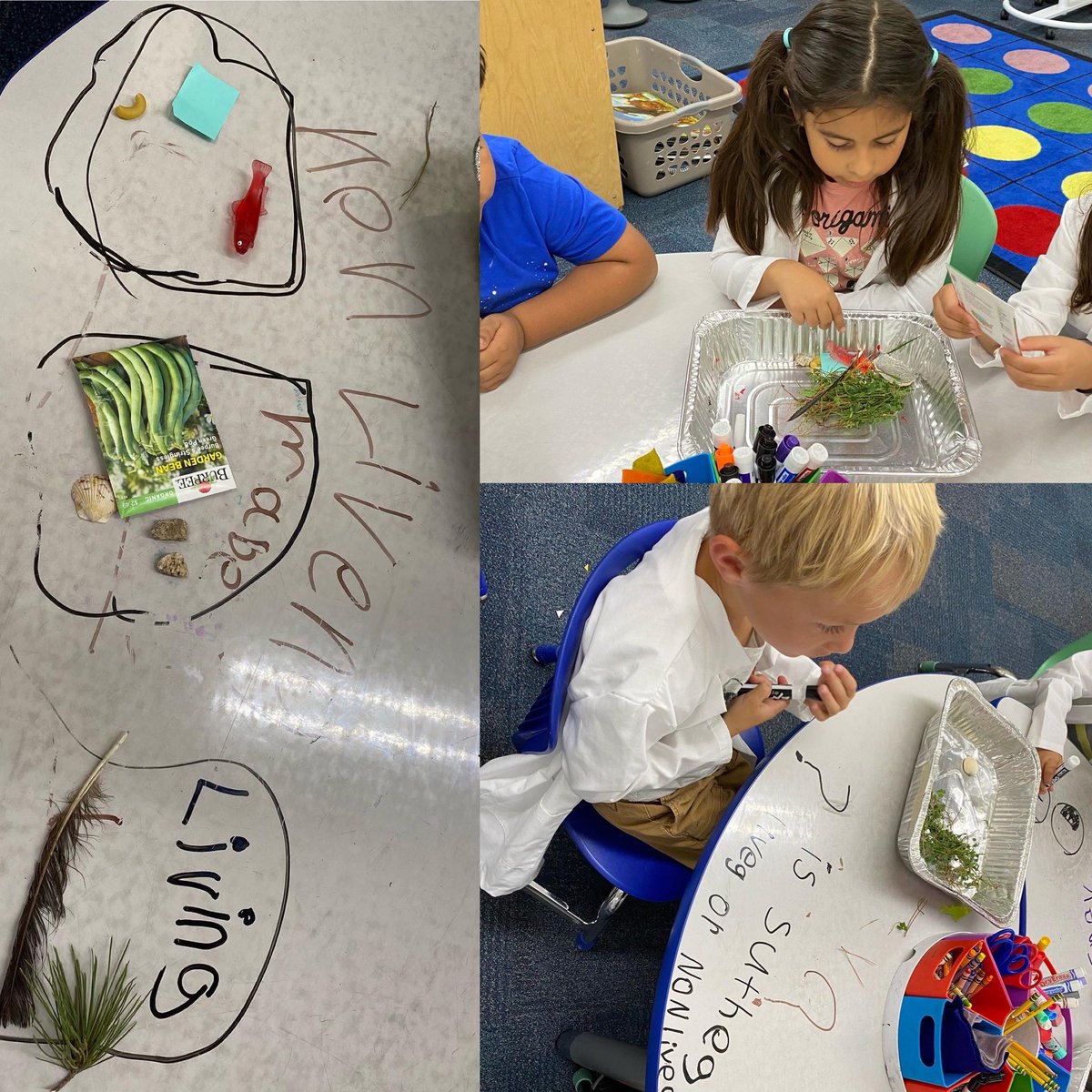 Knolls Elementary tweet media