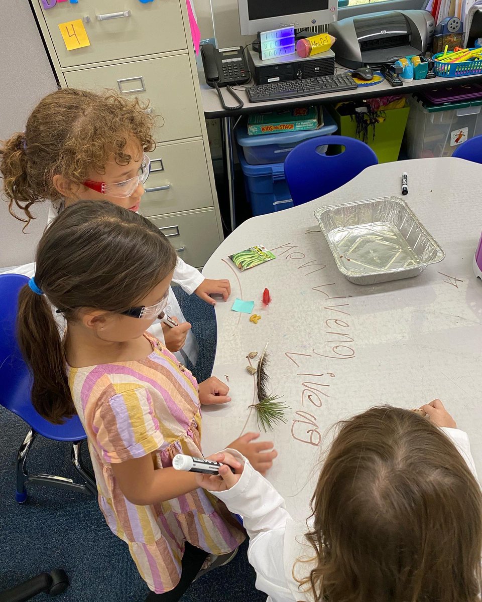 Knolls Elementary tweet media