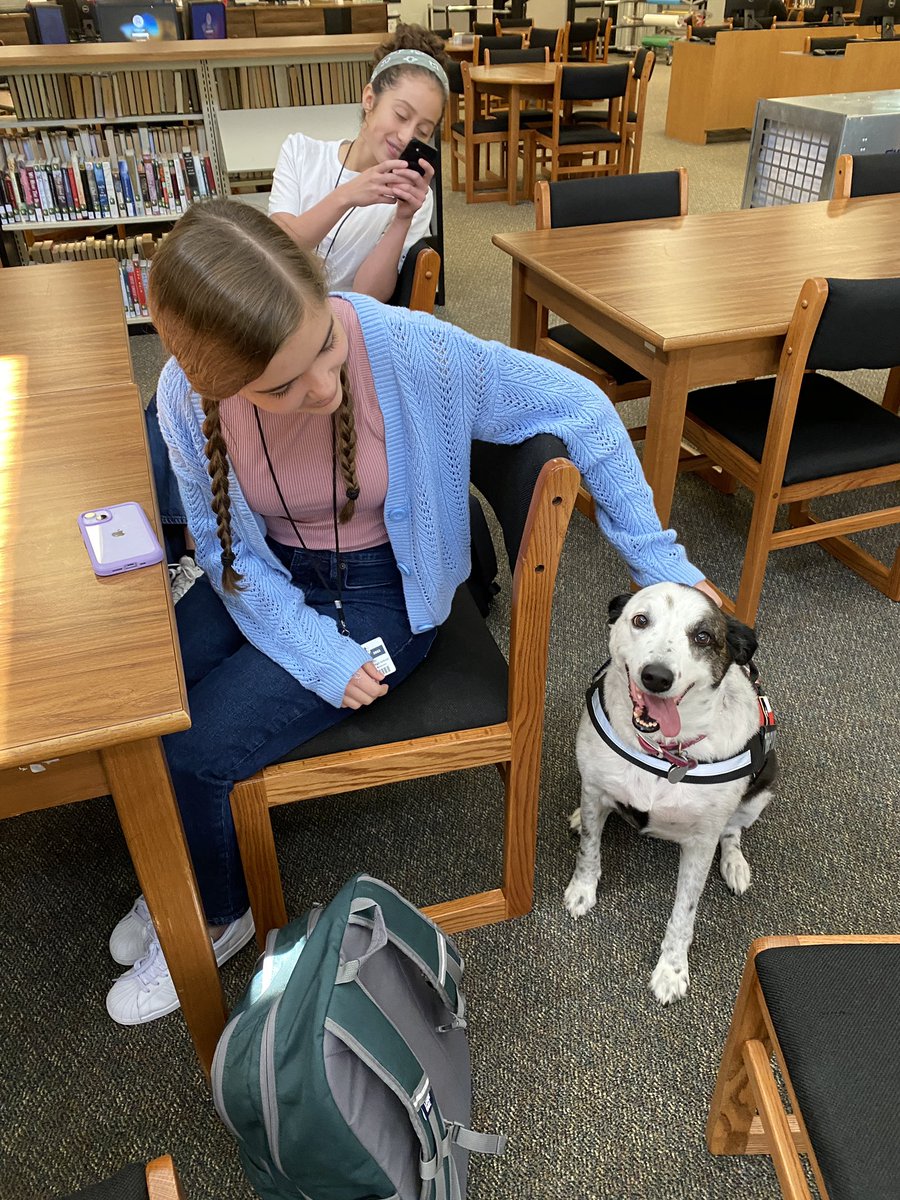 In case you missed Charlie time with in the <a href="/HumbleISD_KPHS/">Kingwood Park HS</a> <a href="/KPHSLibrary/">KPHS Library</a> last week, check her out! 🦴 🐶 ❤️
