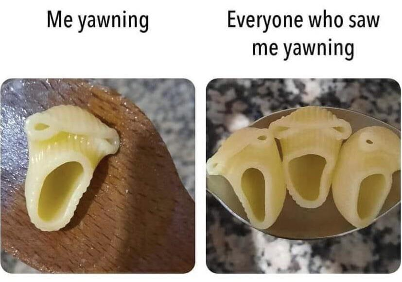WholesomeMemes (@wholesomememe) on Twitter photo 