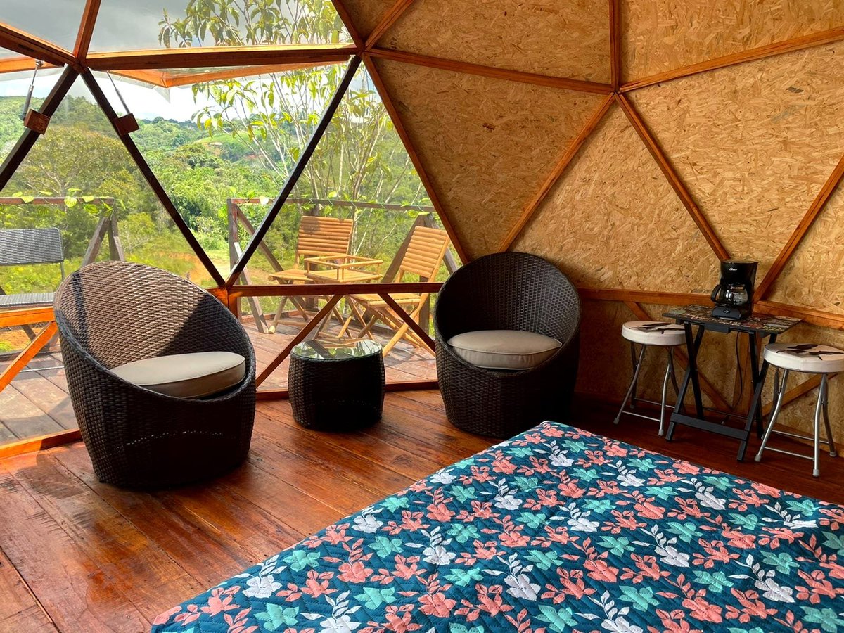 ⌜Amazonas.eth 🦜🌳🦎🐍 tweet media