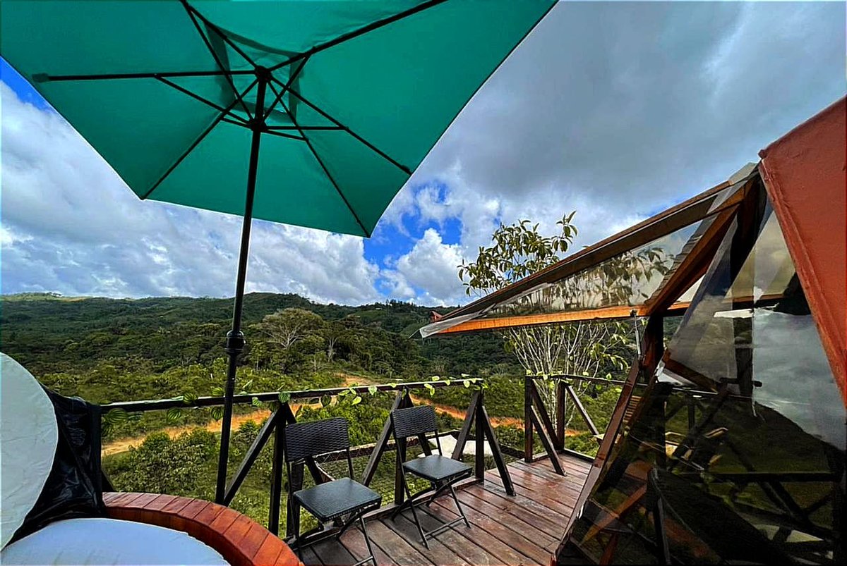 We´re building the Amazonas Experience!🦎🦜🌳

Sneak peek:✨⬇️⬇️⬇️
The first trip is gonna happen the last week of November.

⚠️All the NFT owners enter a raffle to win 5 free tickets for the whole experience (2000 USD value, 1 week)!⚠️