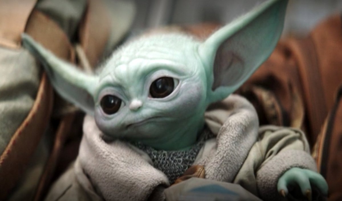 love_grogu's tweet photo. Look at this face. https://t.co/ncYEh3nxof