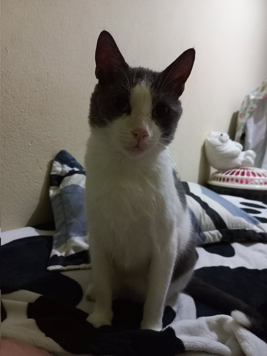 jhonnyRE4's tweet photo. La mitad de mi vida en dos fotos 🥺😻 https://t.co/wu2Nsiri3G