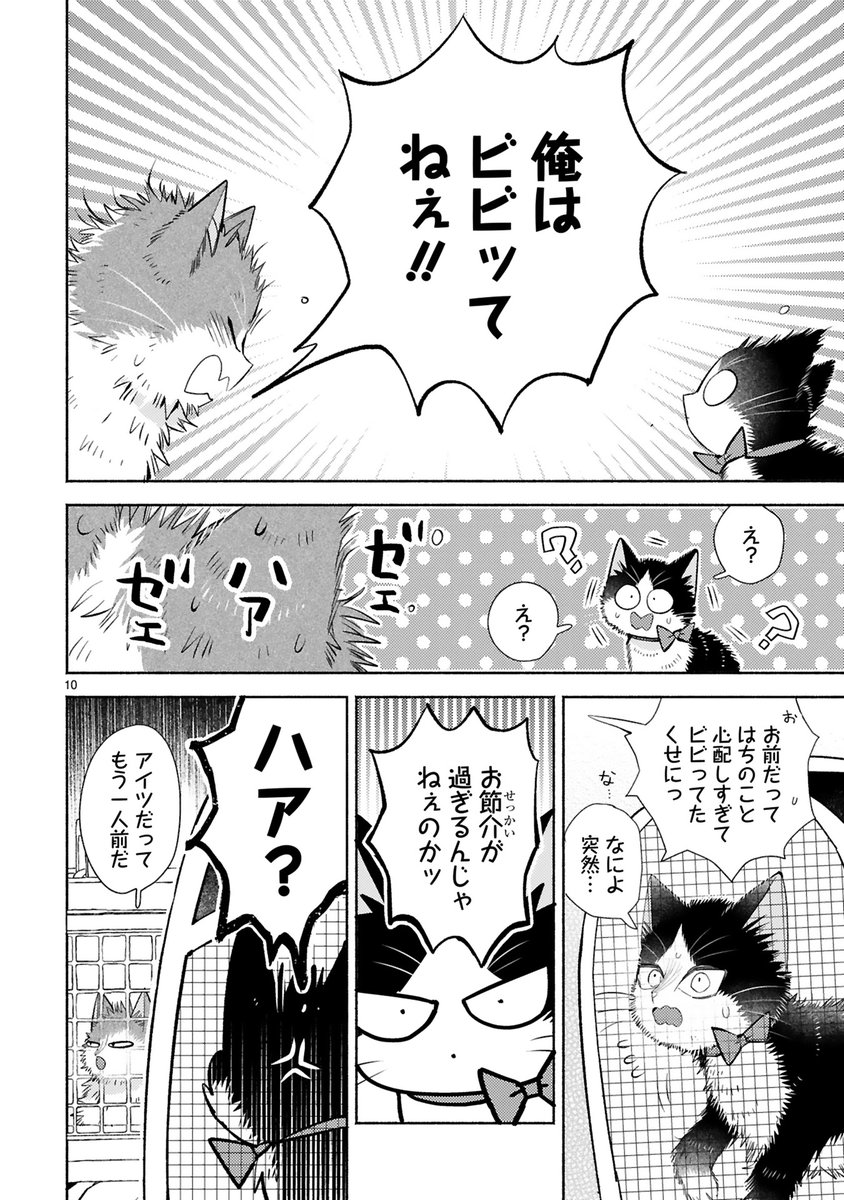 【9/29更新】
✨コミックス第⑧巻 好評発売中!✨

『同居人はひざ、時々、頭のうえ。』
step.25 言ってしまった!【ハル編②】
https://t.co/W0nfUAp36o

ハルとろくがケンカ❕❓❕❓
きっかけは何気ない一言。
だけど……ヒートアップしちゃっって😨😭

#COMICポラリス 