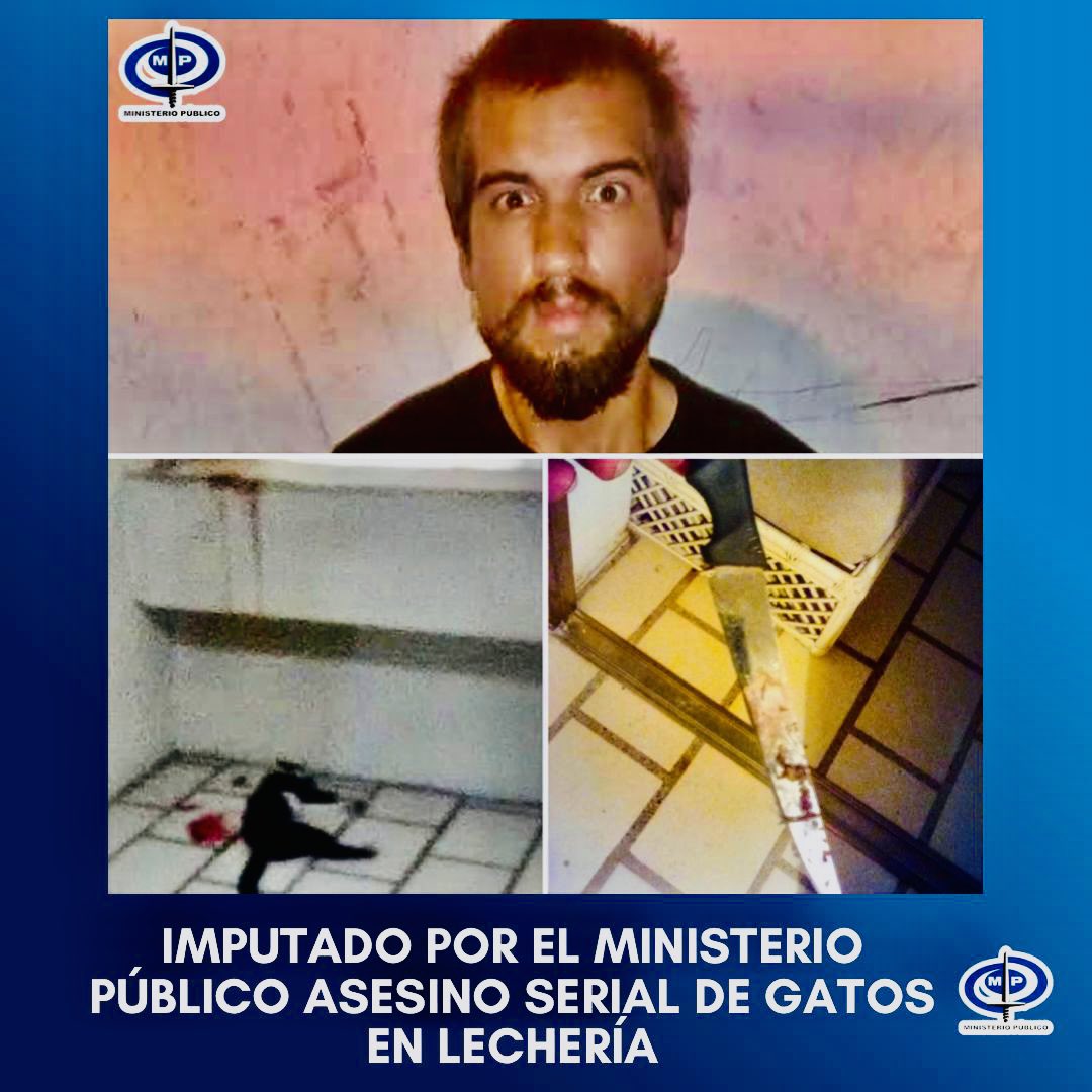 Tarek William Saab tweet media