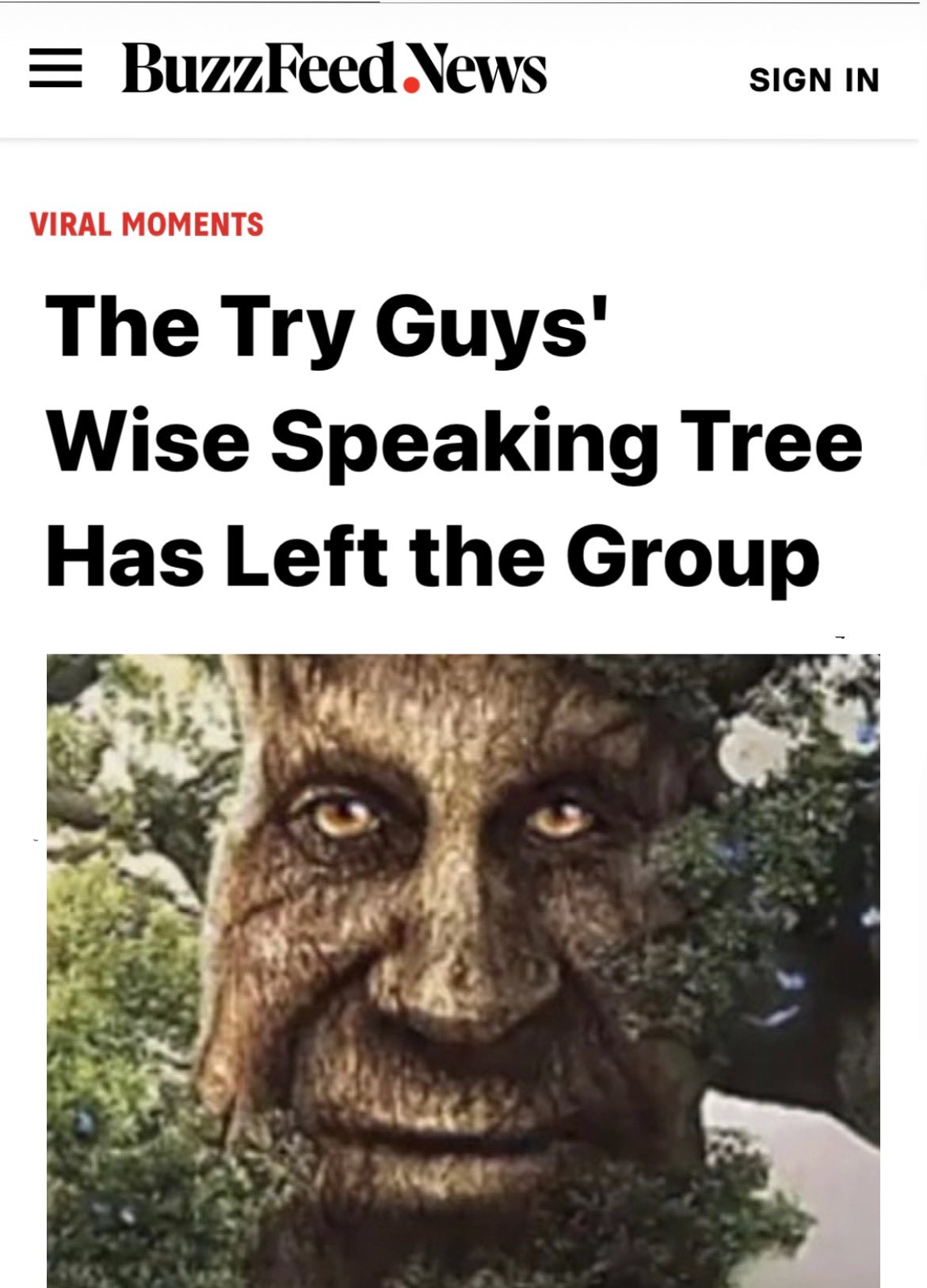 dont know why. but the Wise Mystical Tree meme scared me as a