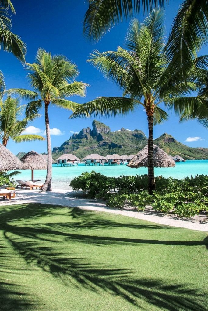 mjomanii's tweet photo. Good Morning Everyone 
.
🏝🏝🏝🏝🏝🏝🏝🏝🏝 https://t.co/SQP60jMX7X