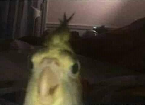 Guarromantico_'s tweet photo. Tutorial: “Dormir temprano te hace ver más atractivo”

Yo viendo el video a las 4:00 am: https://t.co/aESEkTwPl7