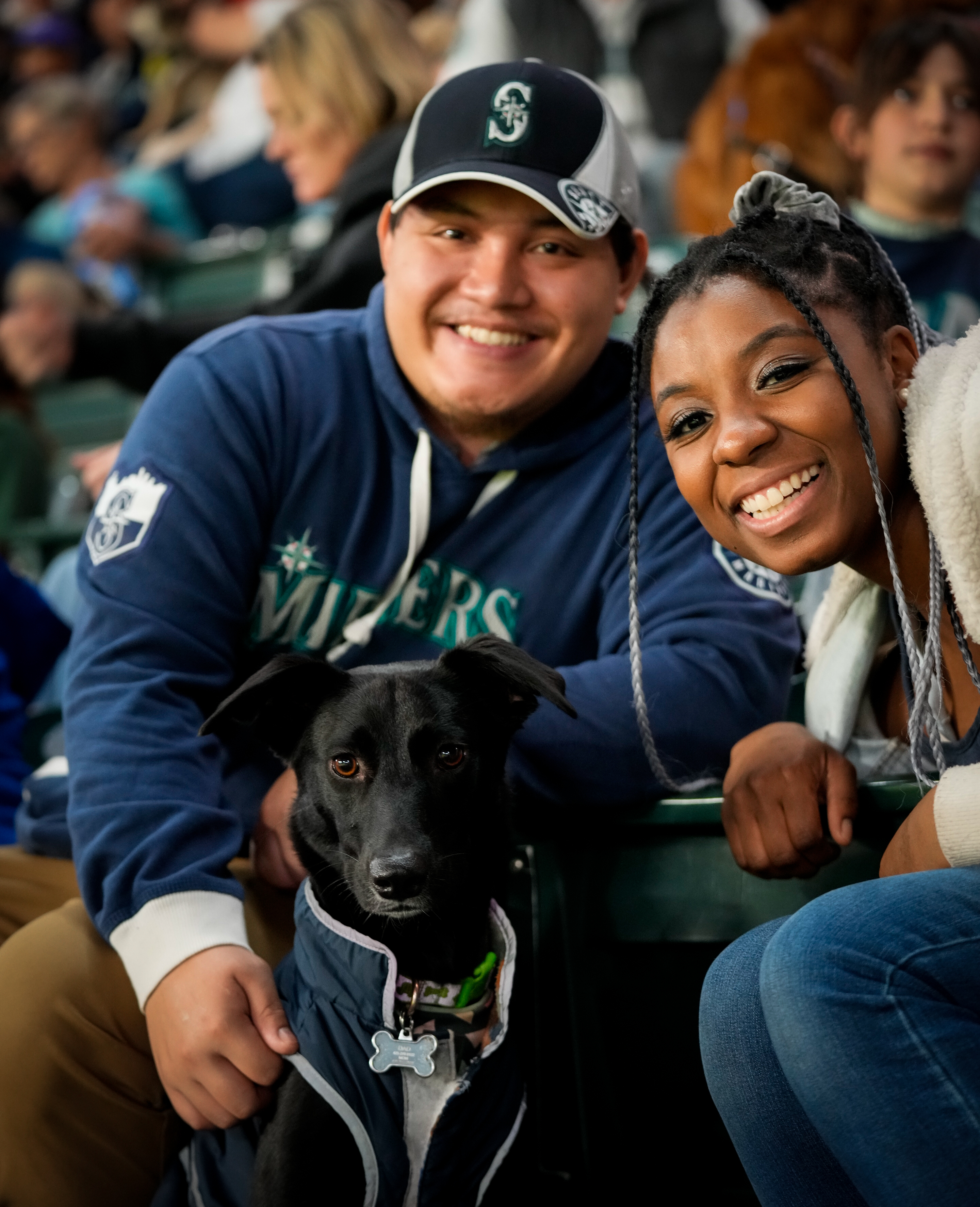 Matt Winkler on X: The @mariners Bark at the Park promotion night is the  best! / X