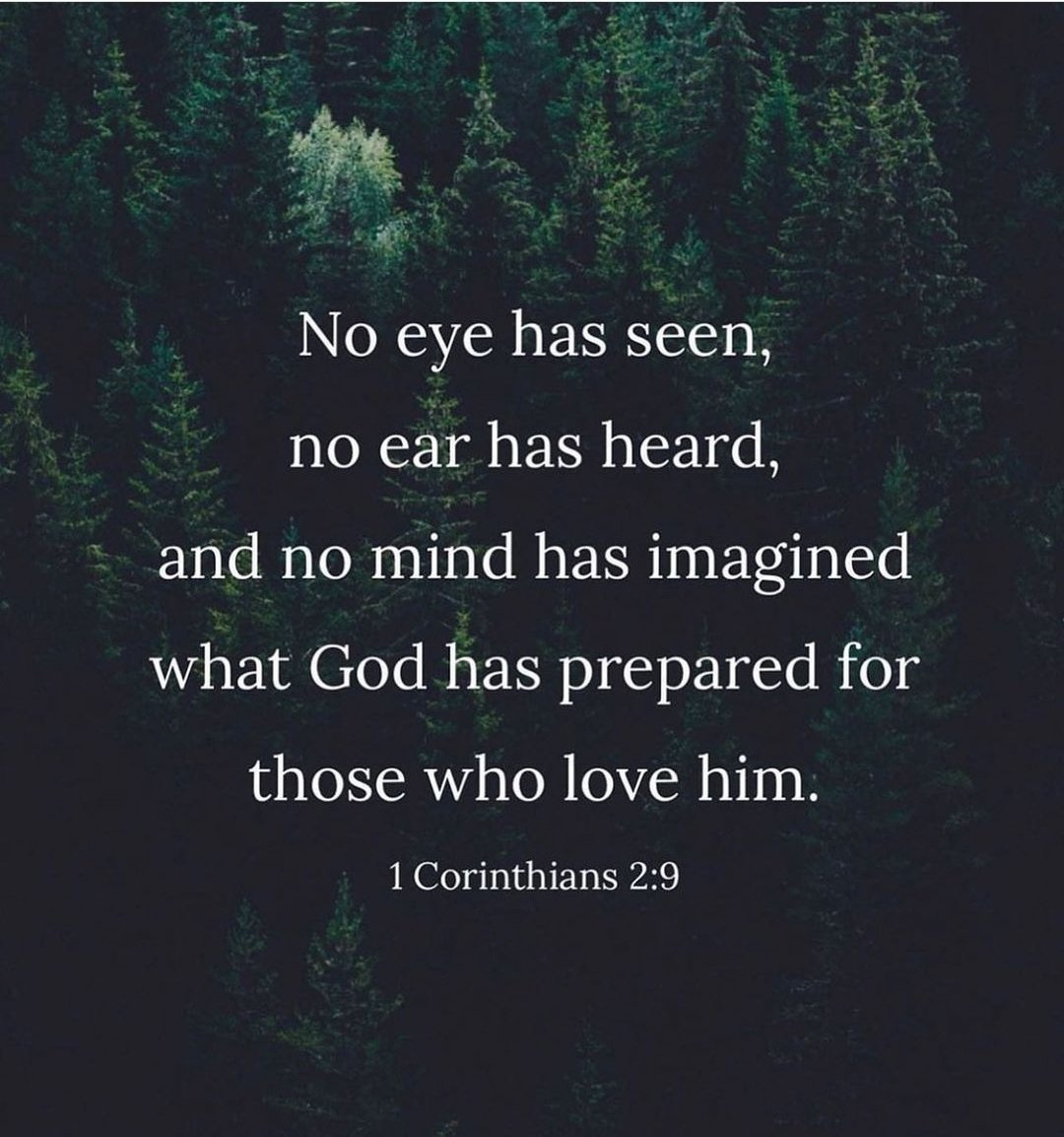 BusiMMusic's tweet image. God's preparation is beyond our wildest imagination! 
💚 💛 🤍

#busi #busim #BusiMMusic
