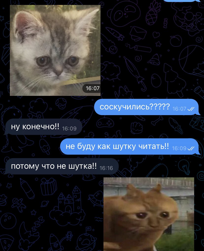 privetplaneta's tweet photo. возвращаюсь….. https://t.co/KLOCDxW5M2