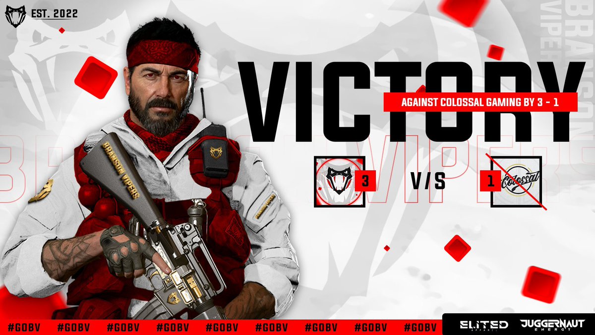 Branson Vipers tweet media