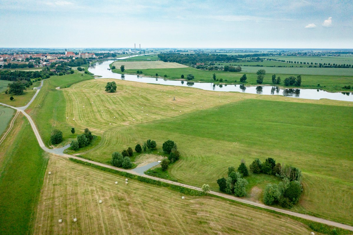 Fernwasser Elbaue-Ostharz tweet media
