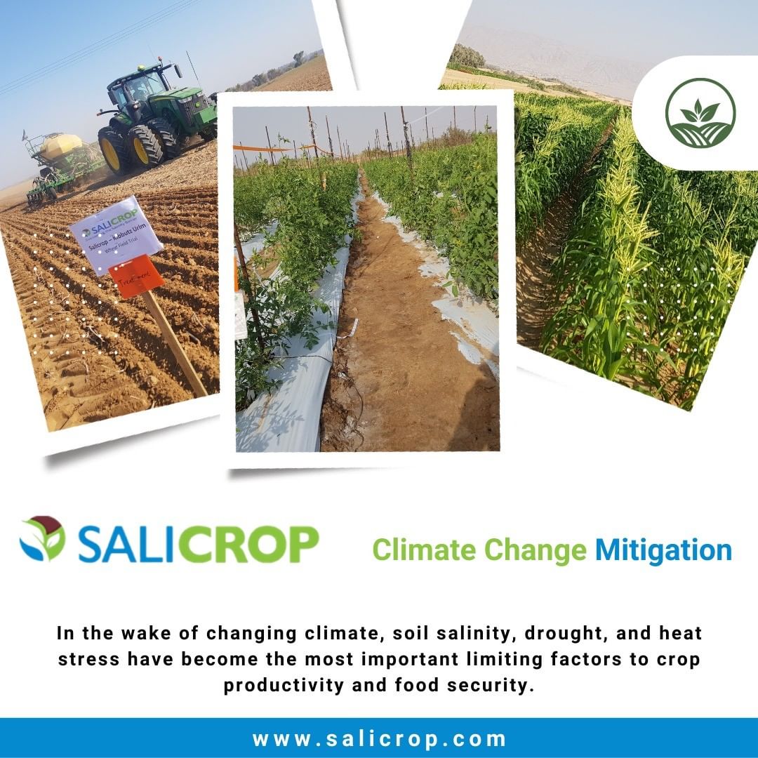 SaliCrop's tweet photo. Salicrop: Climate Change Mitigation
Agricultural systems will need to produce more food in an #environment that is increasingly variable and where the quality of our natural resource base is declining.
#salicrop
#climatechange #climatechangemitigation #agriculture #food https://t.co/aIsFnlp00N