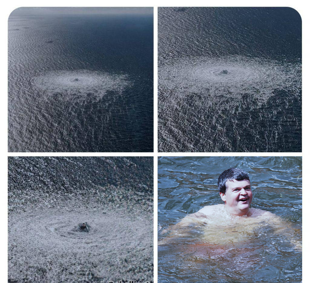 OutOfWetstraat's tweet image. 