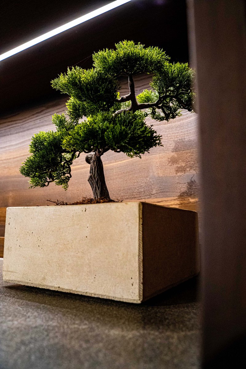 #Bonsai
Einen Bonsai zu züchten bedarf viel #Erfahrung, Geduld &amp; Liebe zum #Handwerk - Und so ist es auch mit einer individuellen #Küche.

#bonsailife #bonsaitree #plants #bonsaiworld #bonsailove #bonsaigarden #decor #interiordesign #interior #kitchendesign #homedecor #furniture