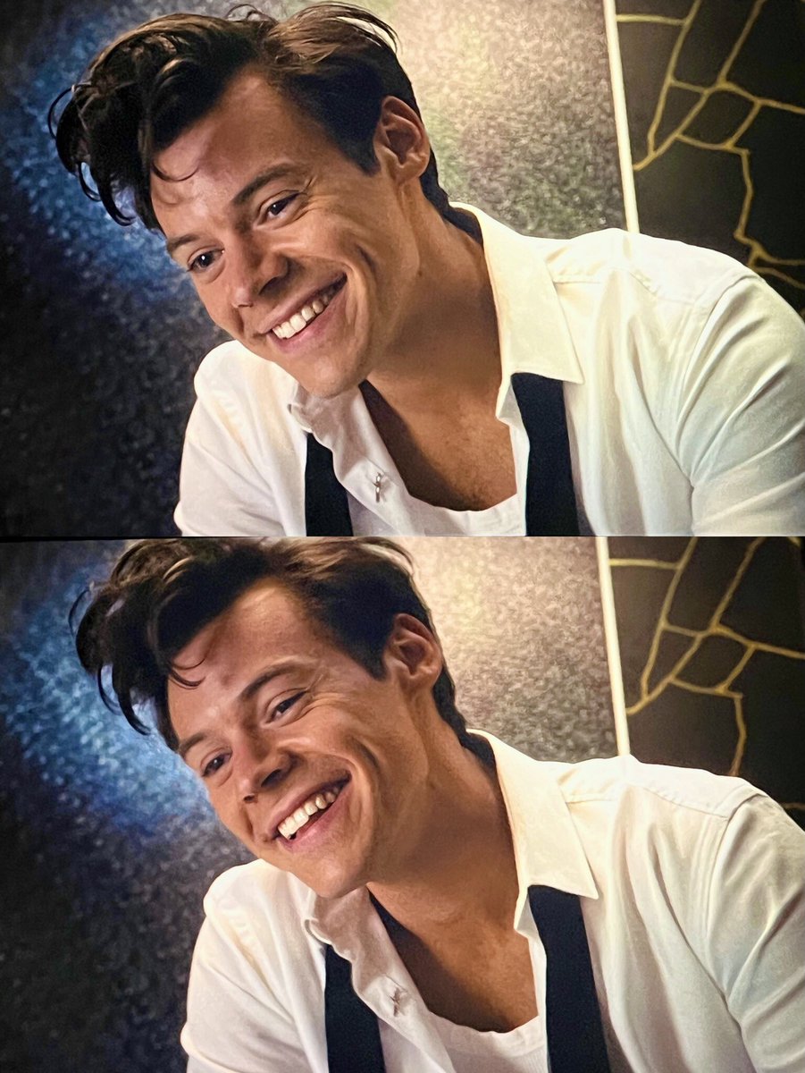 daily harry tweet media