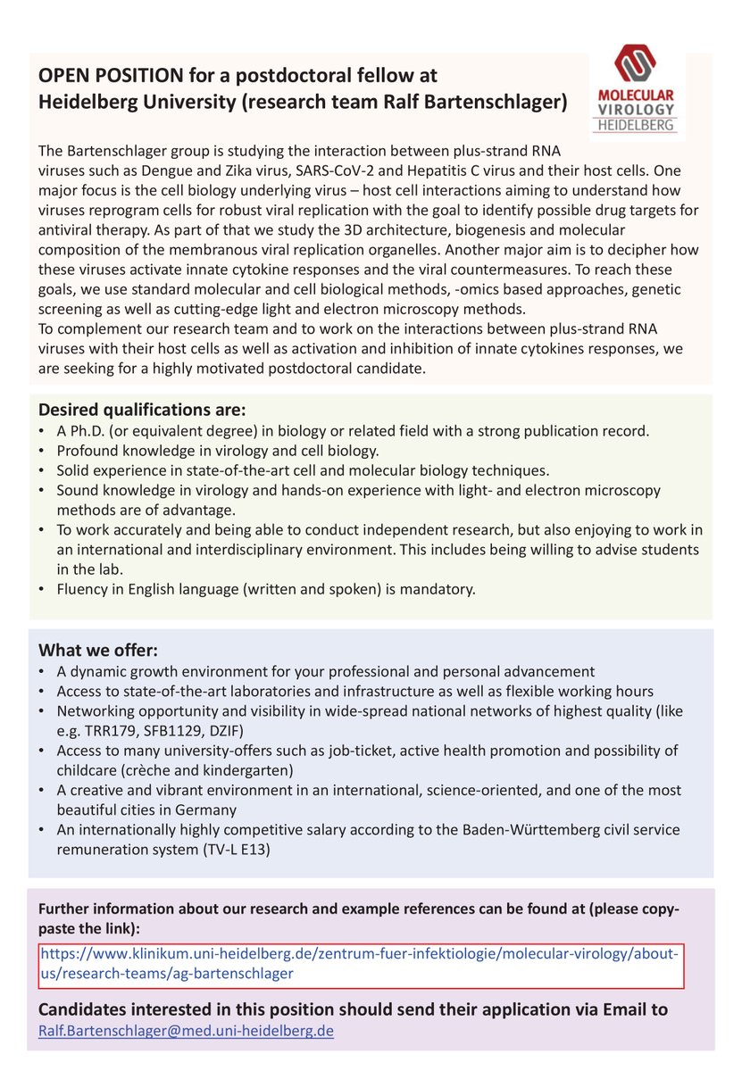 We have a postdoc position available studying the interaction between plus-strand RNA viruses and their host cells. Are you interested? Then apply, we are looking forward to have you in our team! <a href="/uniklinik_hd/">Universitätsklinikum Heidelberg</a>