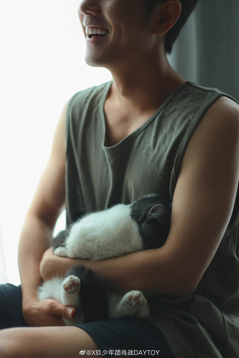 1005Shmily's tweet photo. 🐱🐱🐱

#XiaoZhan1005NewsPort
#XiaoZhan #肖战 #SeanXiao https://t.co/l4A8omA6jR