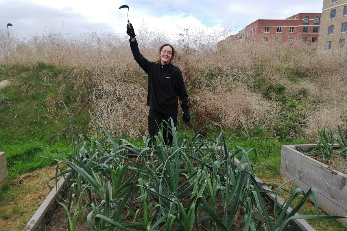SwanseaSWell's tweet image. Brilliant lunchtime session gardening yesterday Swansea University Bay Campus 
Come and join us next week on Singleton Campus (Tuesday&apos;s 1pm - 1:30pm) or Bay Campus (Wednesday&apos;s 12pm - 1pm).
#Oracle2 #growyourown #beginnersguide
🎉💚🥦