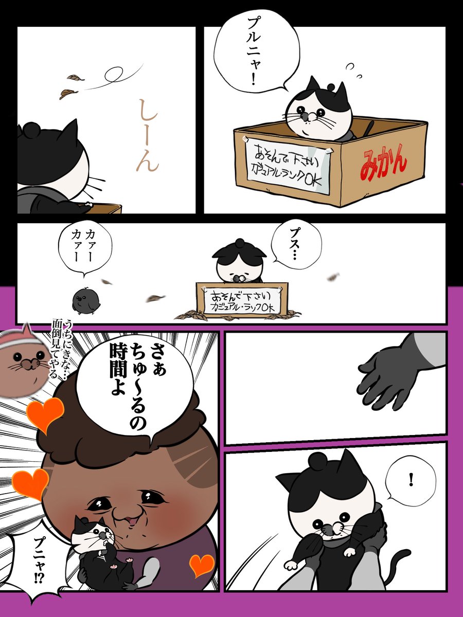 野良募する野良猫レイス 