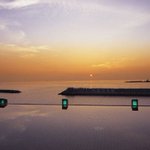 ツイートに含まれる画像