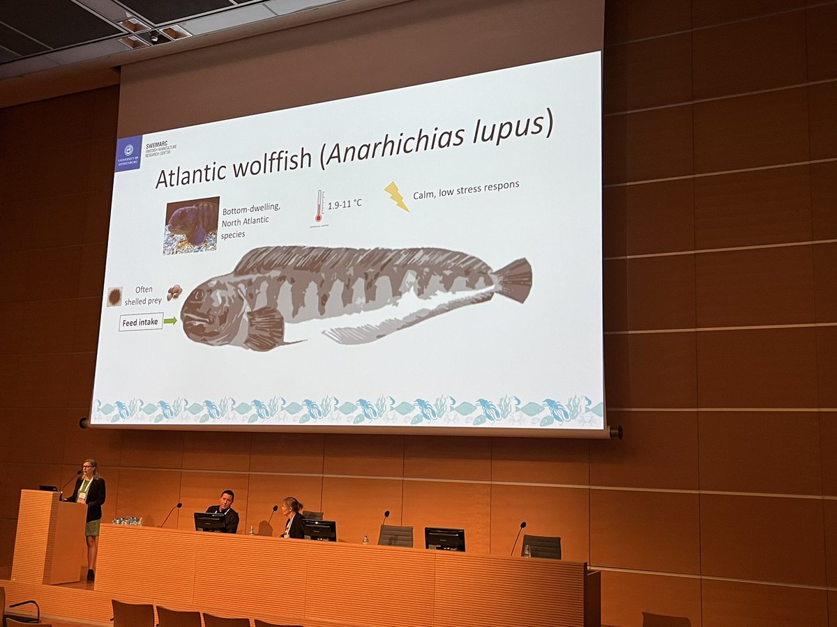 James Hinchcliffe tweet media