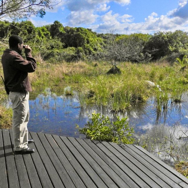 AfricanSafariC2's tweet photo. 📍Makakatana Bay Lodge
Bongani watching a hippo snoozing in the mud in front of the pool!
https://t.co/b7OsIdAdSi
.
.
.
#makakatana #makakatanabaylodge #safari #africansafaricollective #WithPuropose #luxurylodge #kzntourism #isimangaliso #bushandbeach #conservation https://t.co/x5FdhLRlWR