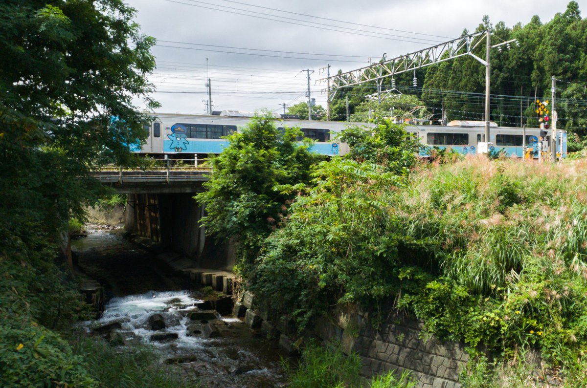 「枇杷野川渡河」
撮影日: 22年9月5日
撮影場所: 野辺地駅すぐ北の枇杷野川渡河
最寄駅: 野辺地駅

Biwano River Crossing
Date taken: September 5, 2022
Picture taken at: Biwano River Crossing just north of Noheji Station
Nearest station: Noheji Station

 #青い森鉄道フォトコン