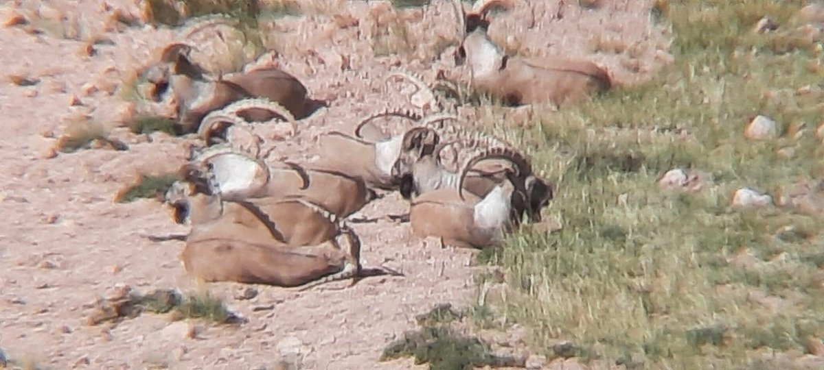 Нутаг сайхан байсан.