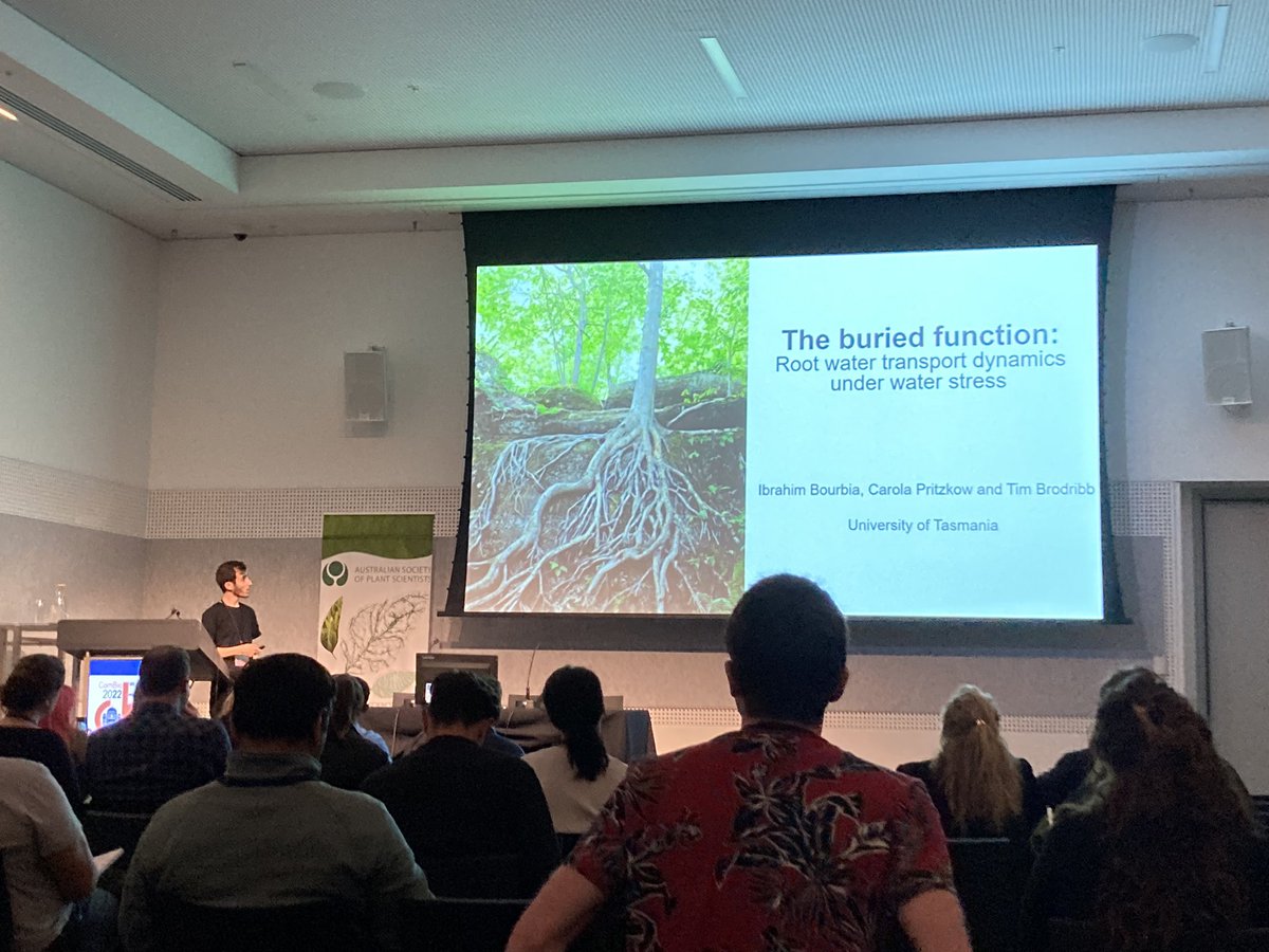 Great talk from @IbrahimBourbia today @combio2022 looking at root sensitivity to water deficit with @Brodribb_Lab and @C_Pritzkow