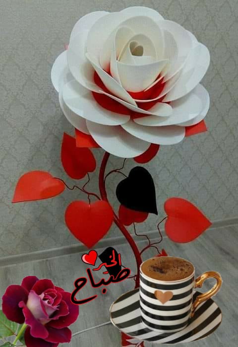 #قروبات_البابلي_للأضافات