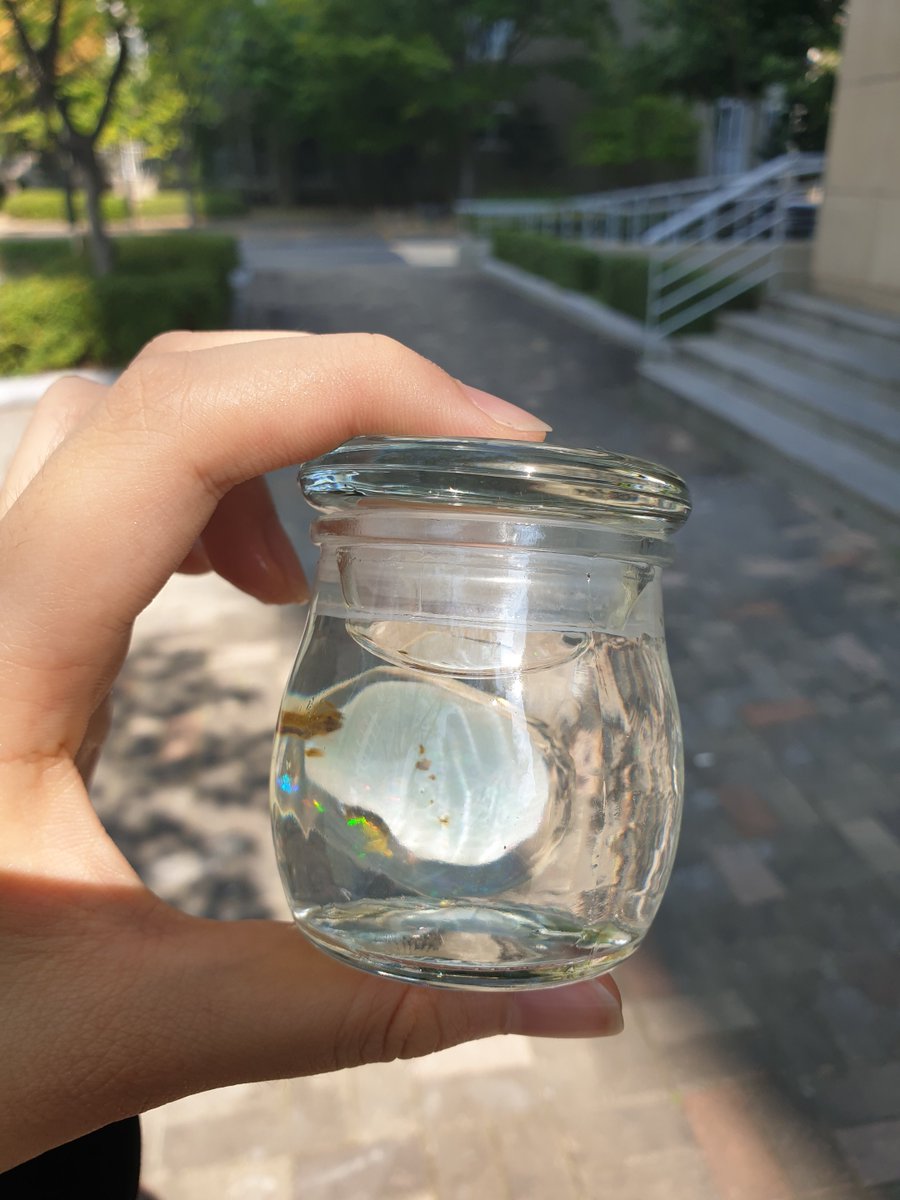 come_on_blue_'s tweet photo. 여러분 그거 아나요? 사실 저는 구름 표본을 가지고 있습니다. 어렵게 채취한 구름을 순간적인 어쩌고 상태로 만들어 저쩌고 용액에 담으면 채취한 형태 그대로 구름을 보관할 수 있죠 운이 좋으면 구름 속 수증기가 어쩌고 되어 무지개 빛으로 산란되는 것까지 관찰 가능합니다 블라블라 https://t.co/ADM1BNi1fM