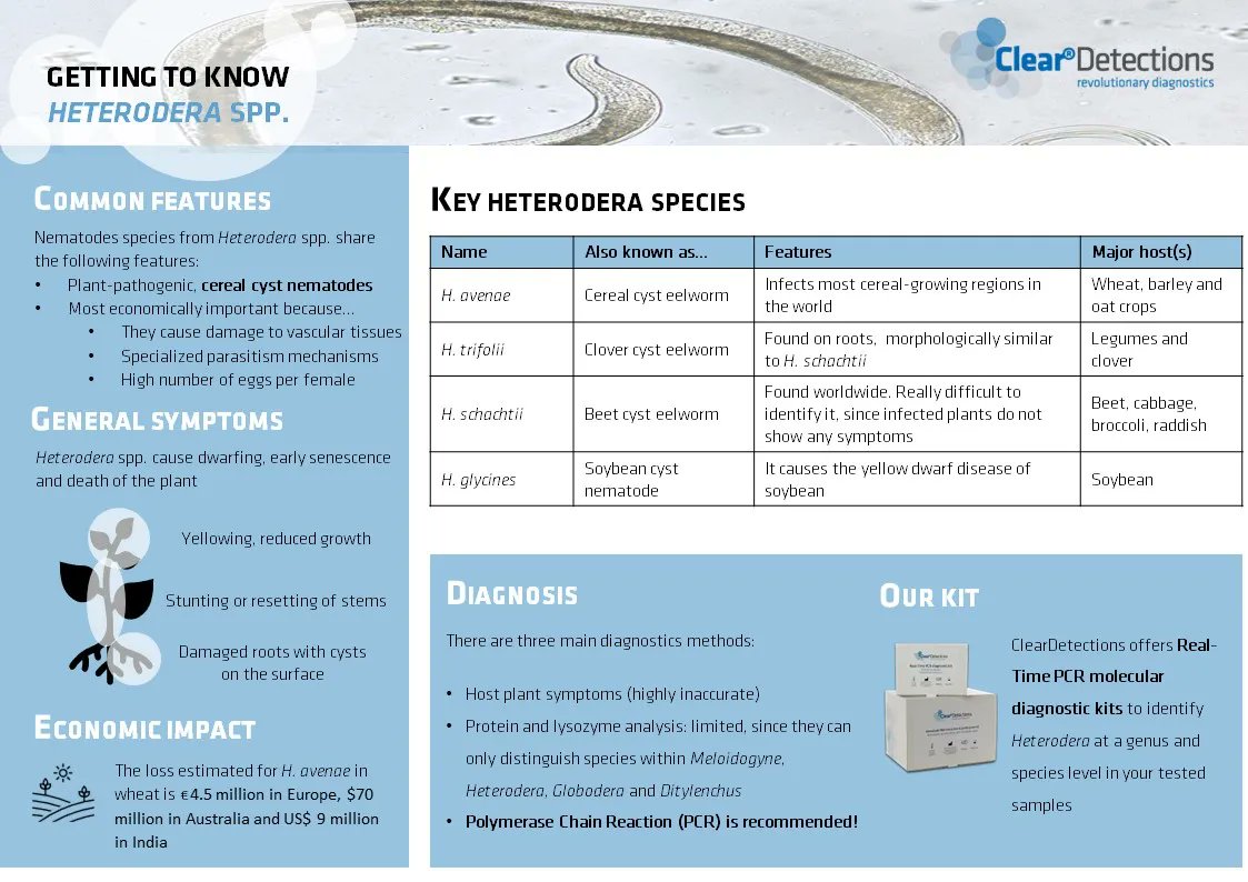 ClearDetections EN tweet media