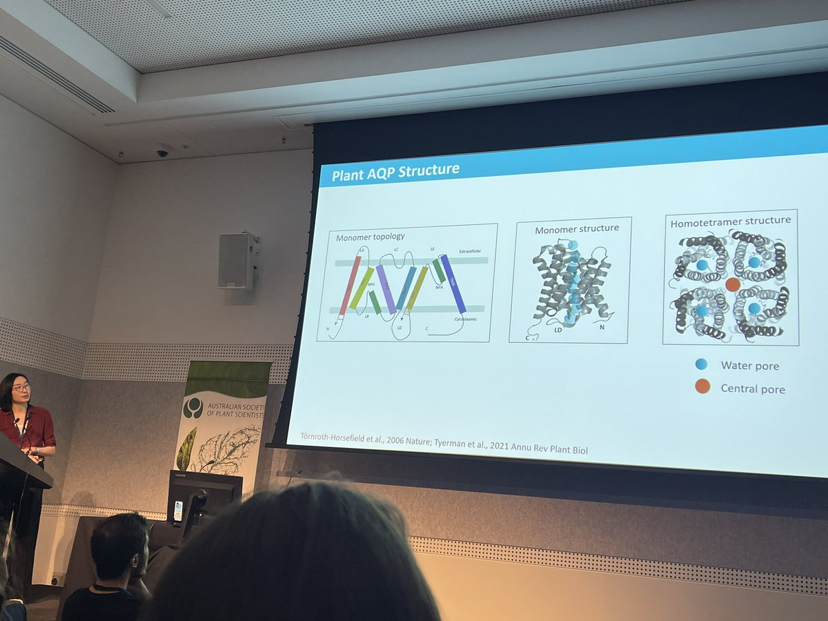 Australian Society of Plant Scientists (@asps_ozplants) on Twitter photo 🍃Amazing aquaporins, talk by Jiaen Qiu from Adelaide University  <a href="/asps_ozplants/">Australian Society of Plant Scientists</a> <a href="/ComBio2022/">ComBio2022</a> <a href="/UofA_SET/">Faculty of Sciences, Engineering and Technology</a> 🍃 🍃Amazing aquaporins, talk by Jiaen Qiu from Adelaide University  <a href="/asps_ozplants/">Australian Society of Plant Scientists</a> <a href="/ComBio2022/">ComBio2022</a> <a href="/UofA_SET/">Faculty of Sciences, Engineering and Technology</a> 🍃