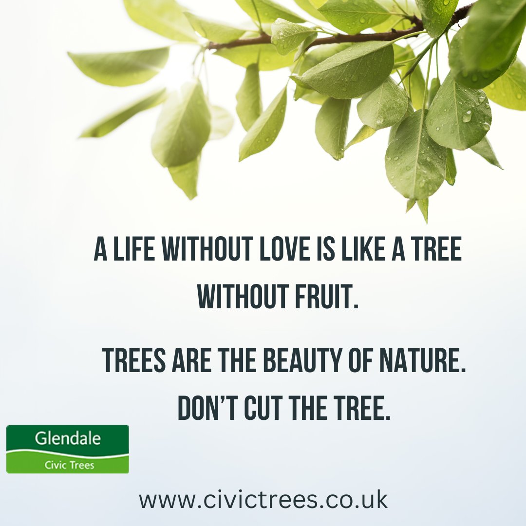 Trees are the beauty of the nature, don't cut the TREE!!!
#naturelove
.
.
Call - 0208 950 4491
Contact us - civictrees.co.uk
Location - Tree House, Houndswood Gate, Harper Lane, Radlett WD7 7HU
.
.
#treequotes #trees #civictrees #nature #naturelove #protectgreenery #green