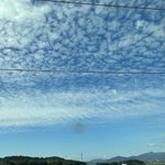Photo by 大塚久美子 (@Q3KO)