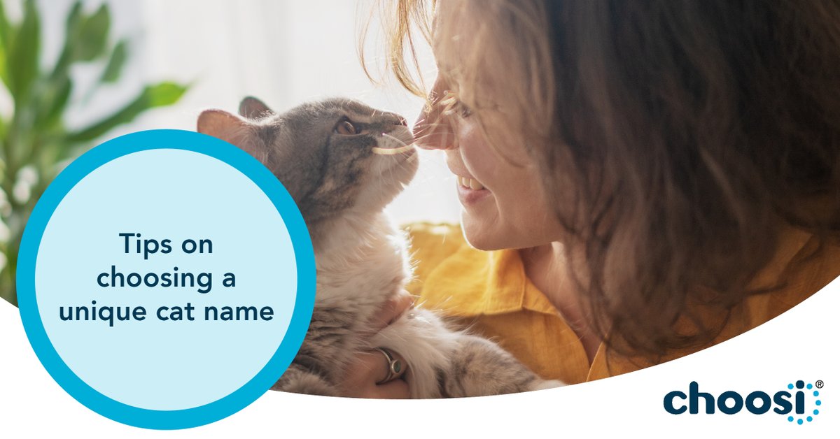ChoosiInsurance's tweet photo. From classic to historic figures and funny to food-based, this list of unique cat names is sure to inspire your naming creativity https://t.co/4Ppqv8nlxz https://t.co/5T593dzULn