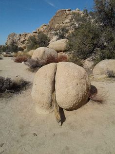 Amazing hike today in Los Angeles.