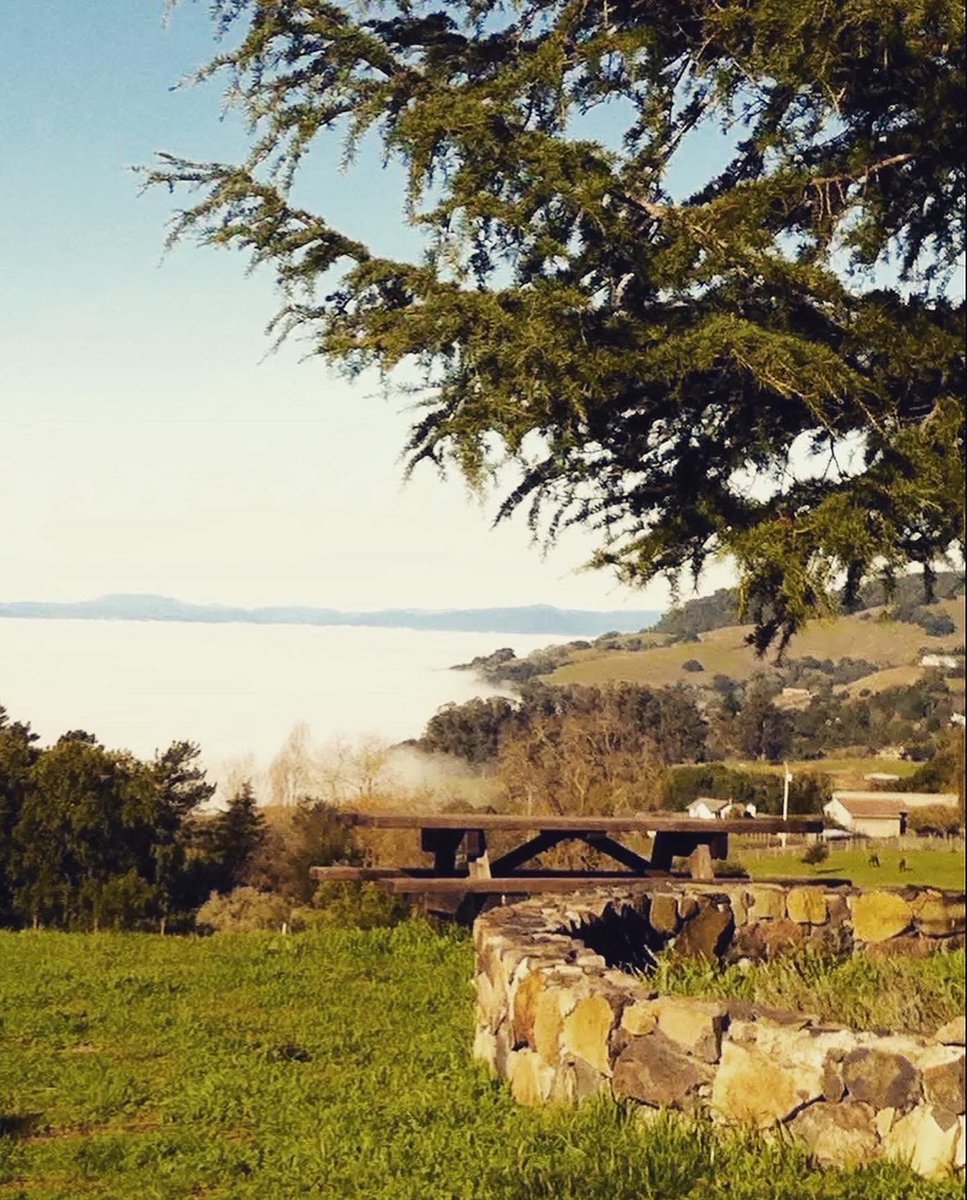 ReservePass's tweet photo. Fogline Vineyards (Fulton, CA) #ReservePass Deal: “Two for one tasting!” A $30 value in savings when you show them your Pass! A great place to pair #winetasting with savings! 🌤🍷#wine #winelover https://t.co/gUjX897eAs