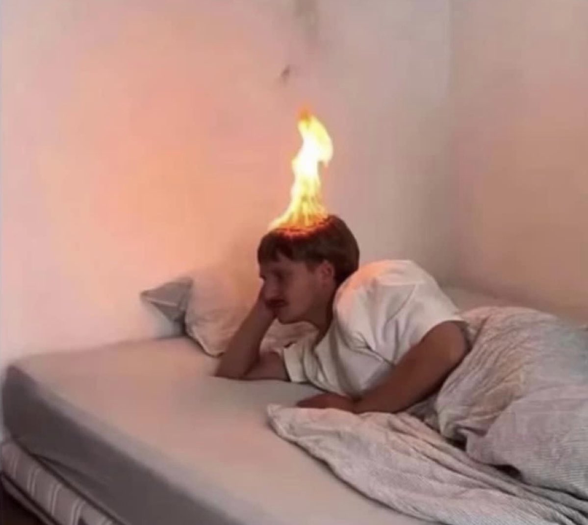 Andrex Herrer tweet media