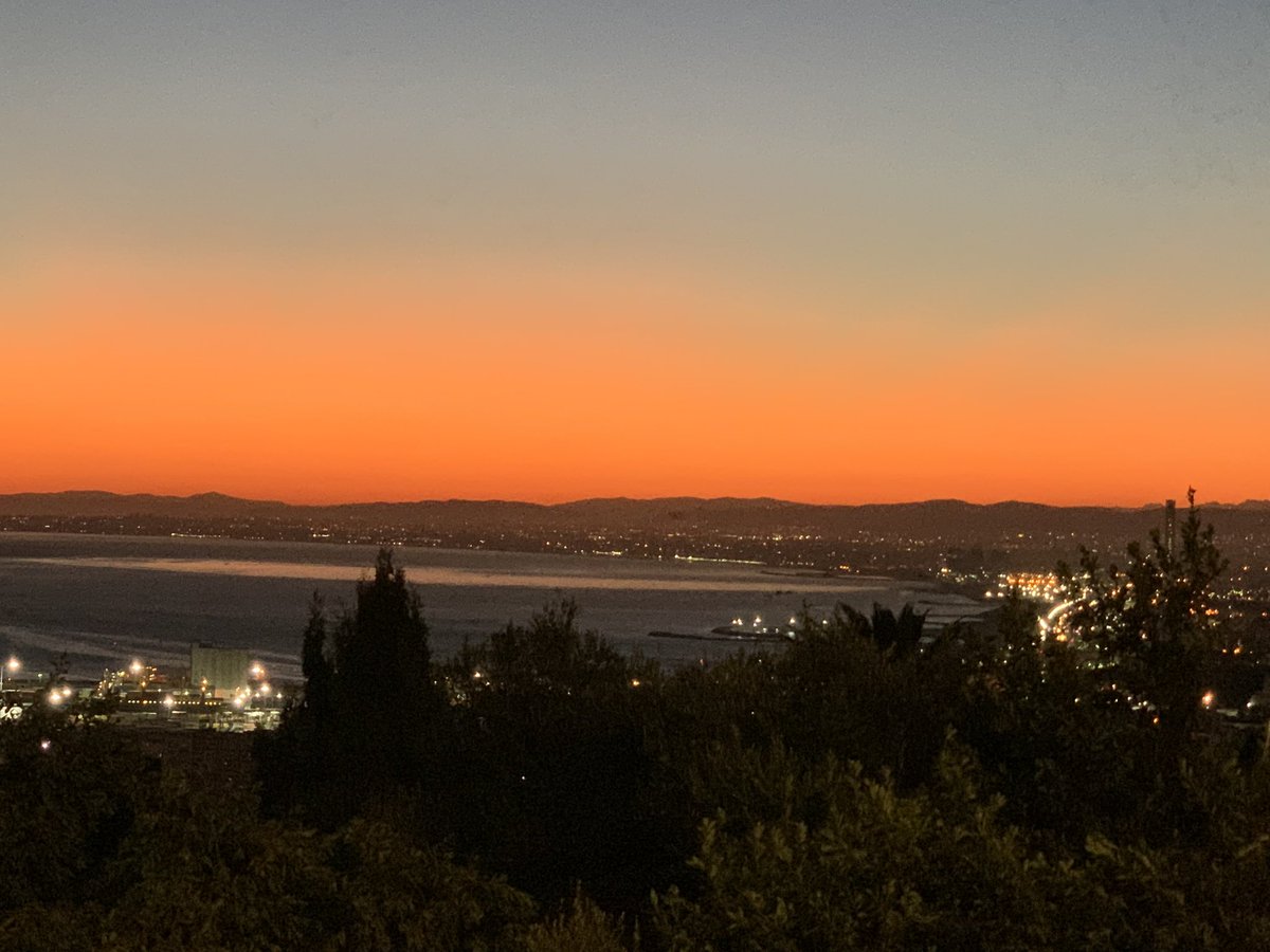 Could a Thursday morning look better than this?  #Algiers ❤️🇩🇿