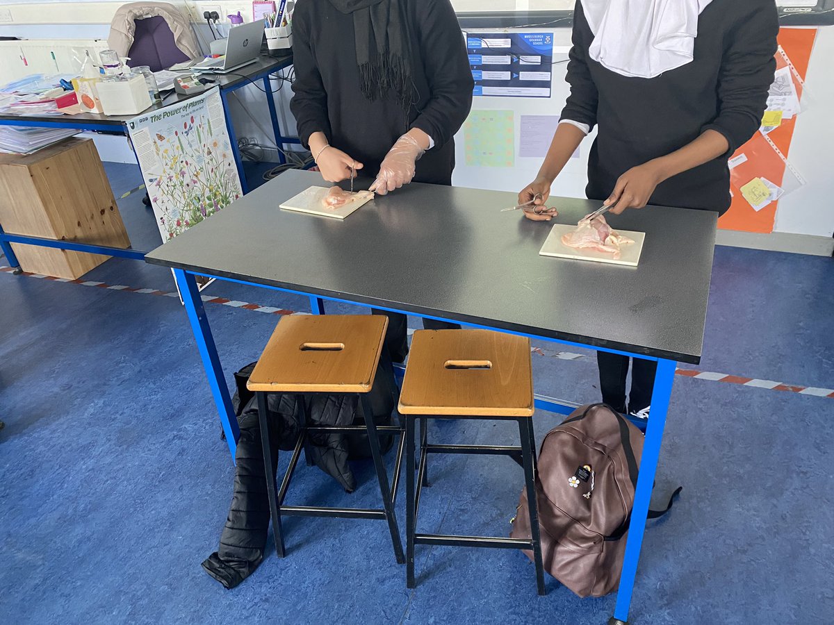 MissWoodheadbio's tweet photo. 2P5 have been learning about how our bodies are organised. They were identifying 4 different tissues types in a chicken thigh. Such an enthusiastic bunch, and a great way to spend a Tuesday afternoon 🤩 @biology_mgs @science_mgs @mgsonline https://t.co/PognjTtpEu