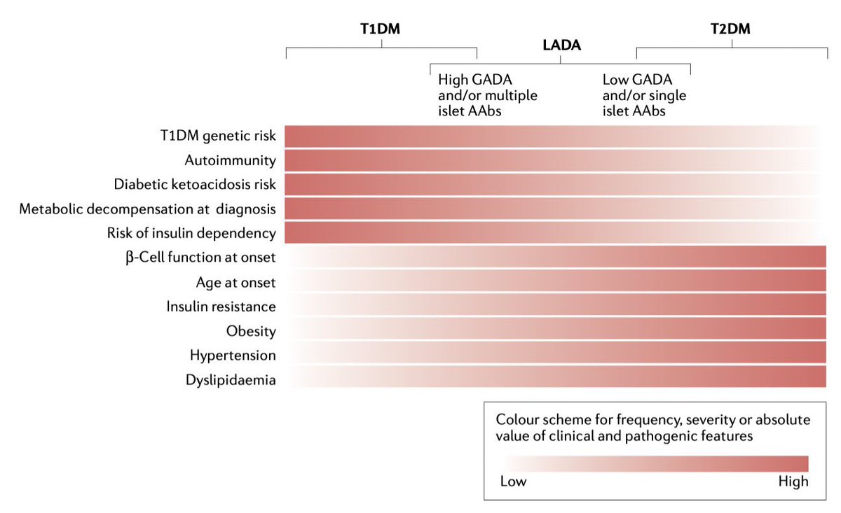 Adult-onset autoimmune diabetes @NatureRevEndo As its clinical presentation varies remarkably and immune markers often lack specificity, it is challenging to classify each case ad hoc, especially when insulin treatment is not required at diagnosis nature.com/articles/s4157…