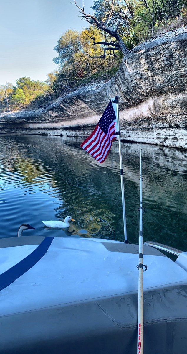 Some friends I made today. 🦆 🦢 #animals #friendshavingfun #friends #Friends4ever #FriendshipGoals