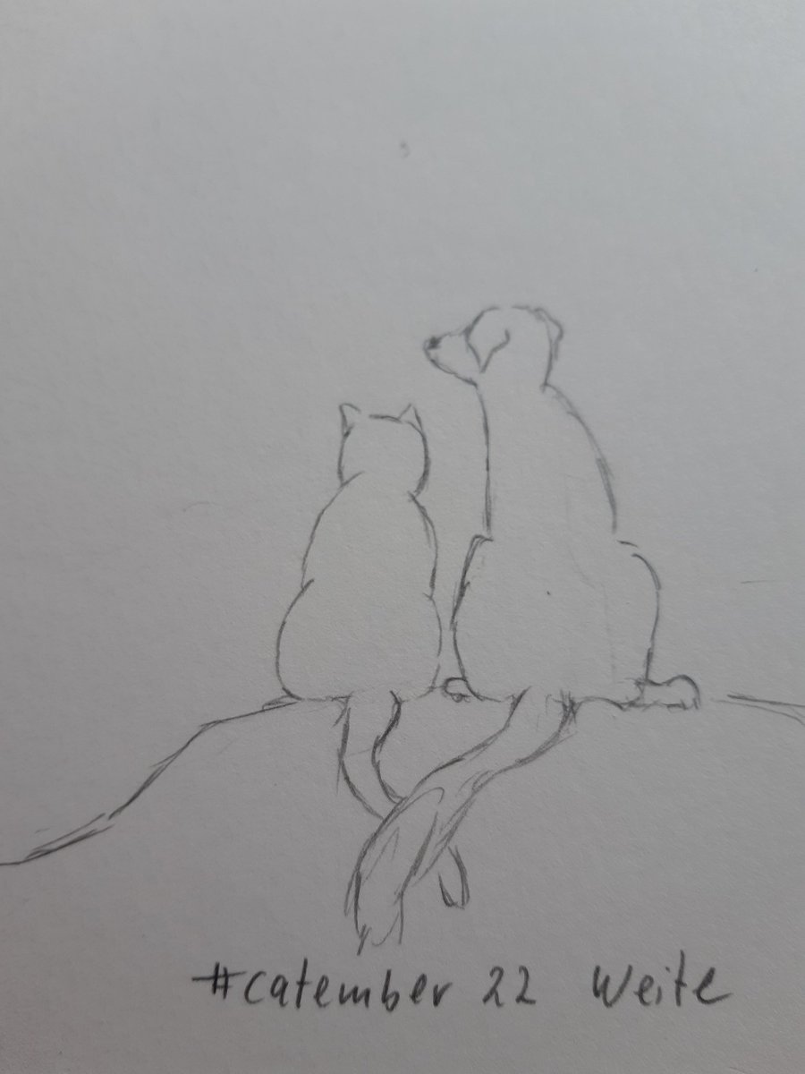 Filmkater's tweet photo. Weite
#catember22 @e13kiki
Ich wollte aufgeben, weil ich die Weite nicht zeichnen kann. Dann ist mir aufgegangen, ich muss sie gar nicht zeichnen, ihr müsst sie euch nur vorstellen 😊
#Kritzelkatze
#kleineKunstklasse https://t.co/RLZFe7YbTV