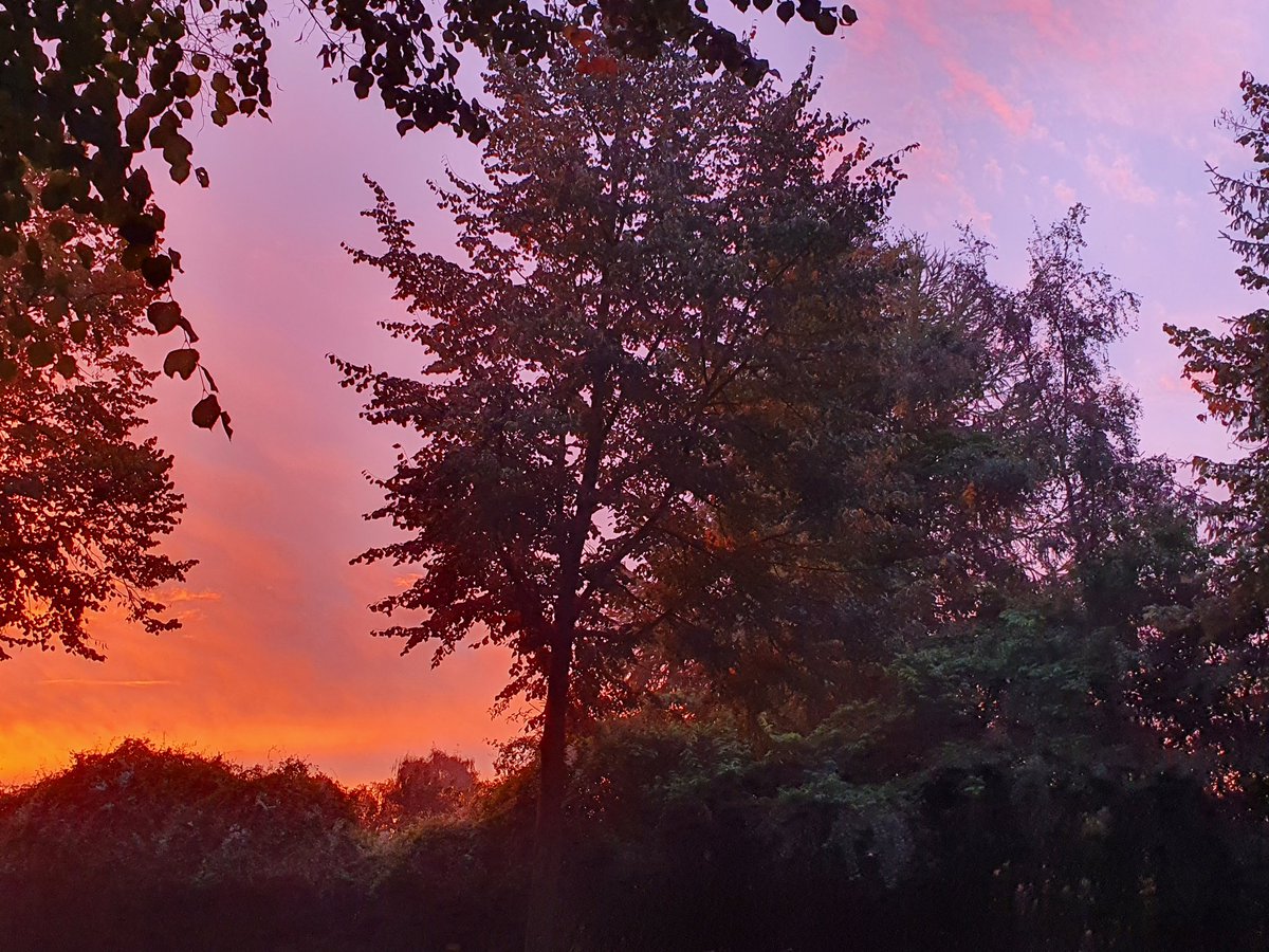 xXToxic_CaveXx's tweet photo. What a beautiful sunrise! π
#sunrise #morning #trees #autumn #autumnday #kiel #goodmorning #naturephotography #nature #nofilter #nofilterneeded #september #septembermorning #city #photography #hobbyphotographer #sky https://t.co/mqjOazCqUI