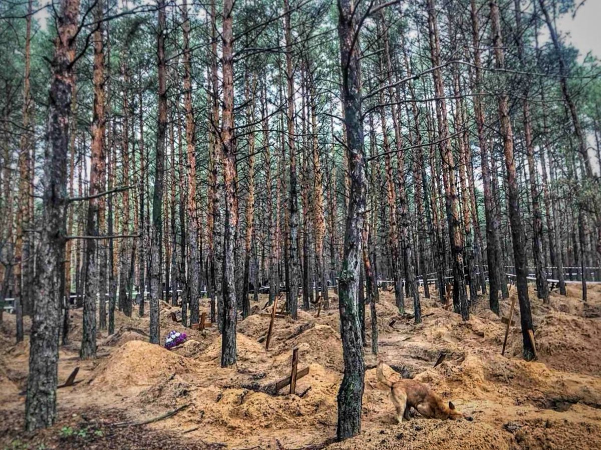 Svitlana Sadkova went to Izium forest, searching for bodies of her best friends-the Repin family “I was horrified. 100s of graves & a stench that continues to haunt me Suddenly, a dog ran to a grave, started digging & then lay down whimpering… he'd found his master” 📷SSadkova